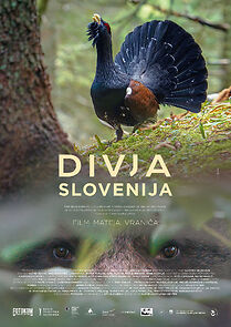 Watch Divja Slovenija