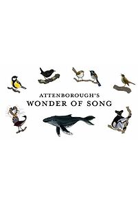 Watch Attenborough's Wonder of Song (TV Special 2022)