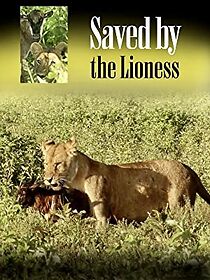 Watch Saved by the Lioness