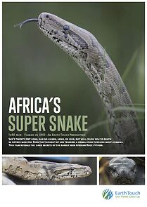 Watch Africa's Super Snake