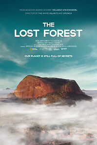 Watch The Lost Forest (Short 2020)