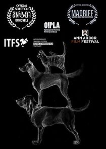 Watch Psie pole (Short 2021)