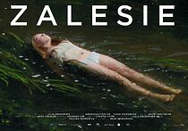 Watch Virgin Woods (Short 2018)