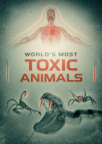 Watch World's Most Toxic Animals