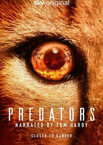 Watch Predators