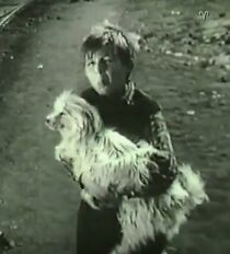 Watch Sonce zad reshetki (Short 1957)