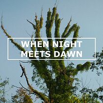 Watch When Night Meets Dawn (Short 2021)