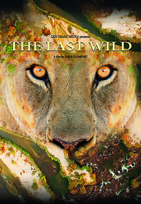 Watch The Last Wild