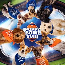 Watch Puppy Bowl XVIII (TV Special 2022)
