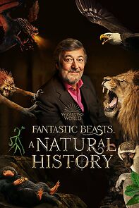 Watch Fantastic Beasts: A Natural History