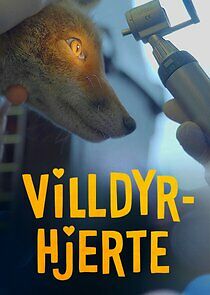 Watch Villdyrhjerte