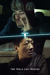 Watch The Tesla Car Thieves (Short 2021)