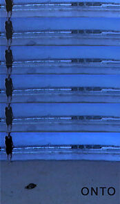 Watch Onto (Short 2000)