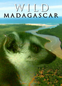 Watch Wild Madagascar