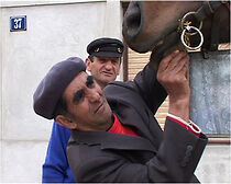 Watch Dunavska sapunska opera