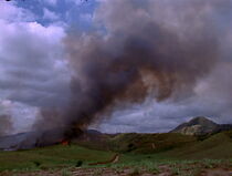 Watch These Ways I Transgress