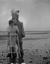 Watch The Sun Came Dripping a Bucket Full of Gold (Short 2014)