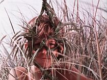 Watch Masks of Grass (Short 1975)