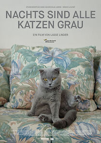Watch All Cats Are Grey in the Dark (Short 2019)