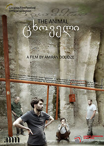 Watch The Animal (Short 2019)