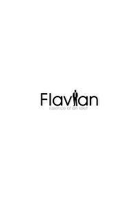 Watch Flavian: Essence of an Idiot