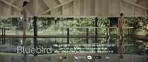 Watch Bluebird (Short 2017)