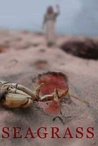 Watch Seagrass (Short 2019)