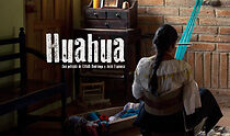 Watch Huahua
