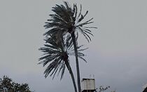 Watch Landscape at Noon