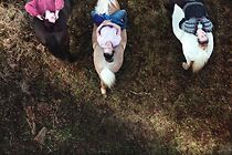 Watch Beast (Short 2019)