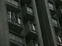 Watch Oscillation (Short 2020)