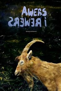 Watch Awers i Rewers (Short 2020)