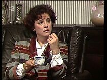 Watch Exemplárny prípad