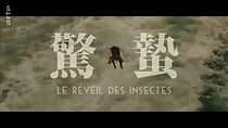 Watch The Awakening of the Insects (Short 2021)