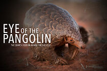 Watch Eye of the Pangolin
