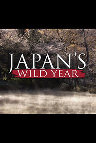 Watch Japan's Wild Year