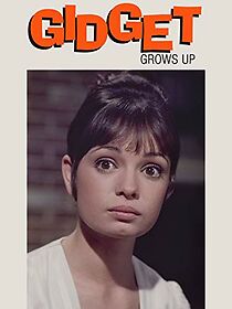 Watch Gidget Grows Up