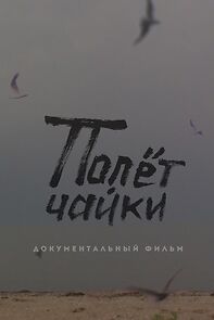 Watch The Flight of a Seagull