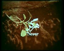 Watch Never (Short 1973)
