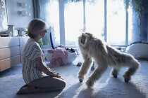 Watch Bezná selhání