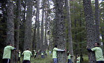 Watch Better Nature (Short 2019)