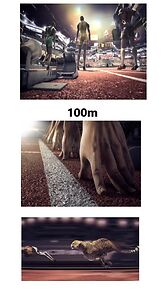 Watch 100m (Short 2013)