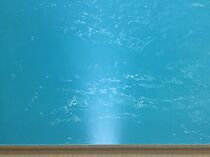 Watch Resting Potential