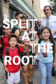 Watch Split at the Root