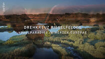 Watch Drehkreuz Rieselfelder: Vogelparadies im Herzen Europas