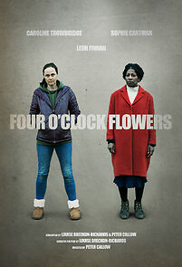 Watch Four O'Clock Flowers