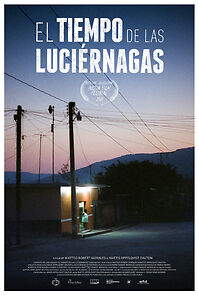 Watch The Time of the Fireflies