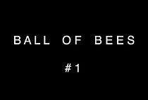 Watch Bees (Short 2002)