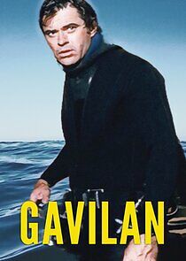 Watch Gavilan