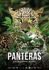Watch Panteras: Viviendo entre felinos